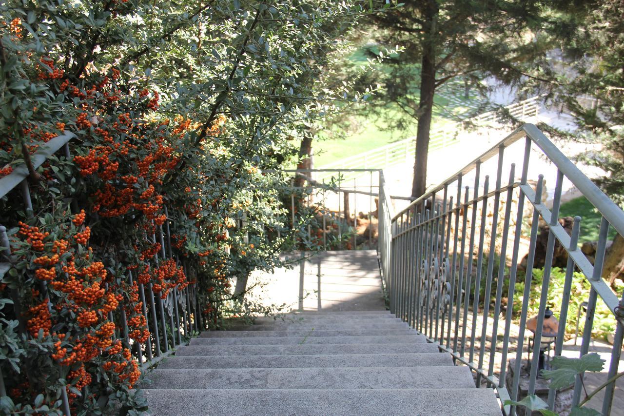 Domaine De Chouchene Hotel Sahrat al Qashsh Luaran gambar